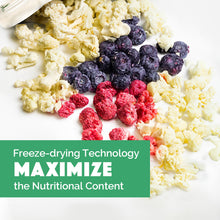 Load image into Gallery viewer, LOOPY PAWS Freeze-Dried Harvest Crunchy for Dogs - Cauliflower, Blueberry & Raspberry