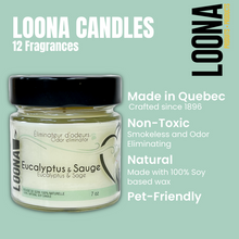 Load image into Gallery viewer, LOONA Candles Odor Eliminator - 12 Fragrances