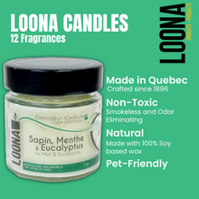 Load image into Gallery viewer, LOONA Candles Odor Eliminator - 12 Fragrances