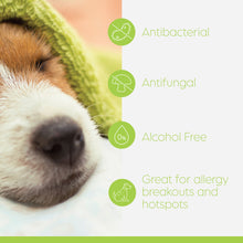 Load image into Gallery viewer, SWEDENCARE Swederma™ Keto-C® Alcohol-free Antiseptic Spray for Dogs & Cats