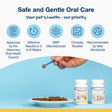 Load image into Gallery viewer, ProDen PlaqueOff Dental Powder for Cats 40g