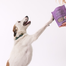 Load image into Gallery viewer, POLKADOG Wonder Nuggets Soft Chewy Bits for Dogs - Apple & Pork