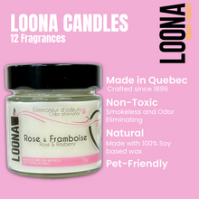 Load image into Gallery viewer, LOONA Candles Odor Eliminator - 12 Fragrances
