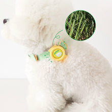 Load image into Gallery viewer, BITE ME Hate Me Band Insects Repellent Band