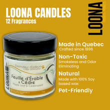 Load image into Gallery viewer, LOONA Candles Odor Eliminator - 12 Fragrances