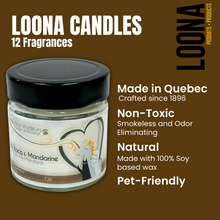 Load image into Gallery viewer, LOONA Candles Odor Eliminator - 12 Fragrances