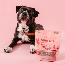 Load image into Gallery viewer, POLKADOG Salmon Says Crunchy Bits for Dogs & Cats