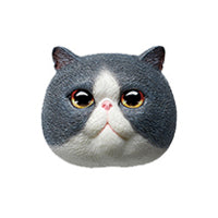 Load image into Gallery viewer, IATOYS Art Cat Map Designer Refrigerator Magnets Blind Box