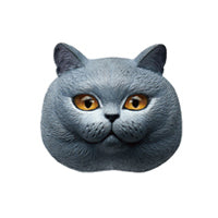 Load image into Gallery viewer, IATOYS Art Cat Map Designer Refrigerator Magnets Blind Box