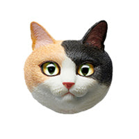 Load image into Gallery viewer, IATOYS Art Cat Map Designer Refrigerator Magnets Blind Box