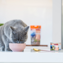 Load image into Gallery viewer, FELINE NATURAL Lamb & King Salmon Feast Can for Cats