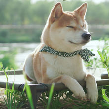 Load image into Gallery viewer, GEEK PLANT Elevated Pet Bed