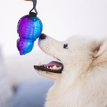 Load image into Gallery viewer, GIGWI Push to Mute Dog Toy - Owl