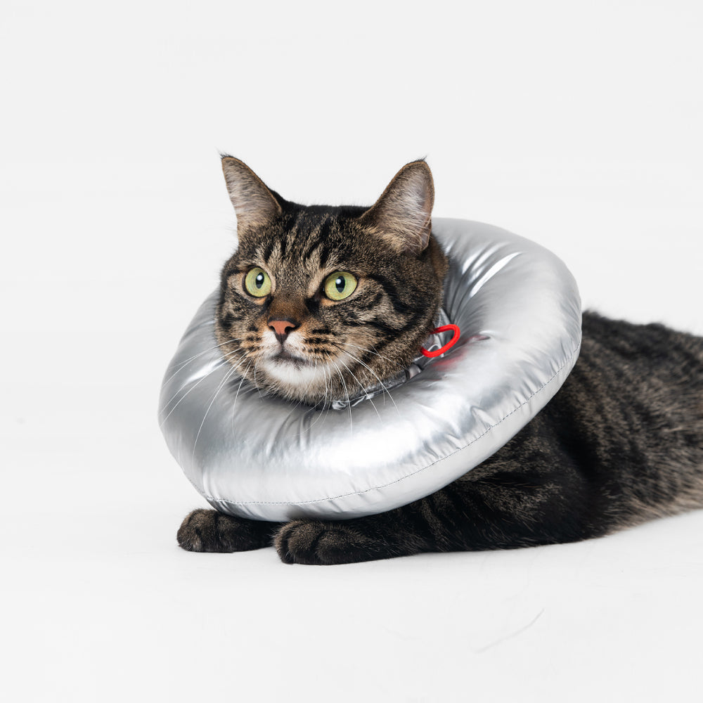 Pillow shop e collar