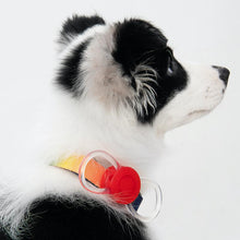 Load image into Gallery viewer, PIDAN Pet Pet Safety Night Light Collar