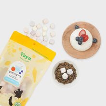 Load image into Gallery viewer, VAYA Freeze Dried Treat Tri-Color Yogurt
