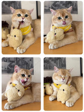 Load image into Gallery viewer, TOOCAT Silvervine Cat Toy Potato
