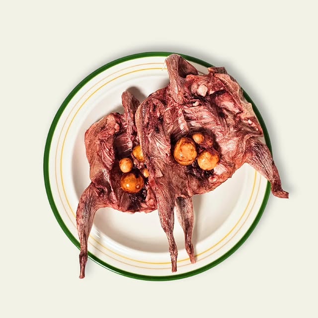 GREEN PET FOOD 🇰🇷 Freeze-dried Quail 3p 🔥