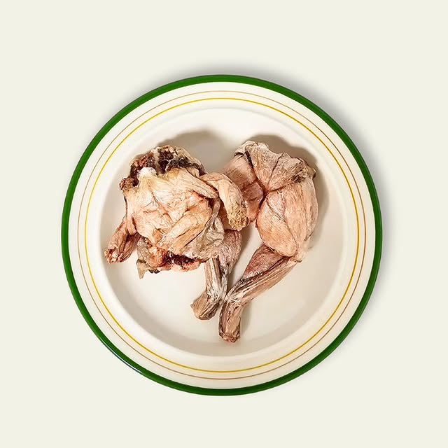 GREEN PET FOOD 🇰🇷 Freeze-dried Frog Leg 🔥