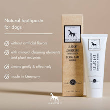 Load image into Gallery viewer, LILALOVESIT 🇩🇪 Liladent Dental-Care Mineral Toothpaste
