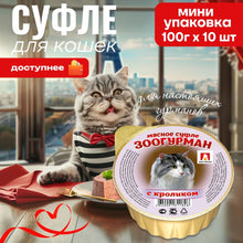 Load image into Gallery viewer, ZOOGURMAN Cat Wet Food &#39;Meat Soufflé&#39; 100g
