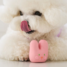 Load image into Gallery viewer, BENNY&#39;S 🇰🇷 Animal Latex Toy - Bebe or Jello Type

