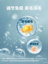 Load image into Gallery viewer, ROSY FRESH 鲜朗 Grain-Free Complete Nutrition Cat Wet Food Chicken
