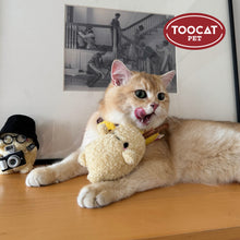 Load image into Gallery viewer, TOOCAT Silvervine Cat Toy Potato
