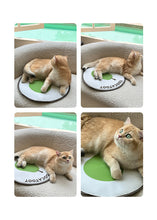 Load image into Gallery viewer, TOOCAT Green Pear Pet Summer Cooling Pad
