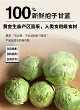 Load image into Gallery viewer, 3M5 Pet Treat Freeze-Dried Brussels Sprout
