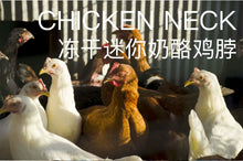 Load image into Gallery viewer, PRODUCTS FOR TRUE CARNIVORES 肉食凶猛 Freeze-dried Pet Treats - Mini Cheese Chicken Necks

