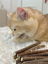 Load image into Gallery viewer, TOOCAT Cat Toy Natural Silvervine Teeth Cleaning Chew Sticks - 14 Sticks
