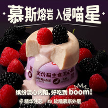 Load image into Gallery viewer, HI CUBS 喜崽 Cat Food/Treat/Soup【FIRST LAUNCH】🔥
