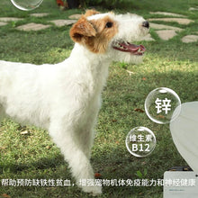 Load image into Gallery viewer, PET-EVER 生生不息 Pet Freeze-dried Treats - Beef Knuckle【NEW】
