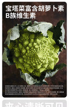 Load image into Gallery viewer, 3M5 Pet Freeze-Dried Raw Treat - Wagyu Beef Tartar
