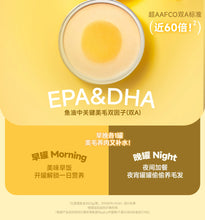 Load image into Gallery viewer, BRIGHT 布兰德 Cat Wet Food NutriBox Yolk Yolk Pie Pie 🍳
