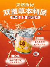 Load image into Gallery viewer, 【🔥BUY 2 GET 1 FREE🔥】HI CUBS 喜崽 Nutrition Complete Food Milkshake Thick Soup for Cats【New Flavor】
