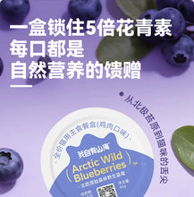 Load image into Gallery viewer, 我自有山海 Arctic Wild Blueberries Cat Wet Food【NEW】- 2 Flavors
