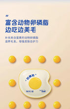 Load image into Gallery viewer, FISH4DOGS 海洋之星 &#39;Custard Bun&#39; Pet Treat
