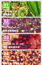 Load image into Gallery viewer, DREAMTHING Freeze-dried Veggies Fruits Mix for Dogs &amp; Cats
