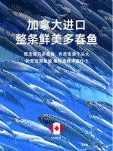 Load image into Gallery viewer, LOVE AROUND 爱立方 Freeze-dried Pet Treat - Omega-3 Capelin
