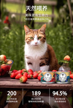 Load image into Gallery viewer, 百芾 Cat Canned Wet Food 195g - 3 Flavors
