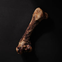 Load image into Gallery viewer, MARUMI 丸味 Air-dried Emu Bone - Limited Quantity

