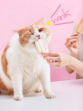 Load image into Gallery viewer, RANOVA 朗诺 Cat Freeze-dried Chicken Milk Ice Cream Treat
