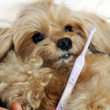 Load image into Gallery viewer, ORABIO 🇯🇵 Dental Care Brush for Pets
