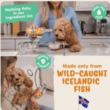Load image into Gallery viewer, FAM PETS - Icelandic Wild Caught Fish Oil (Pour or Spray)
