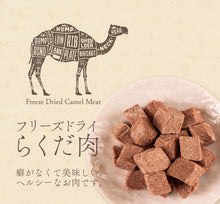 Load image into Gallery viewer, MICHINOKU FARM みちのくファーム Freeze-dried Camel Meat 🐫 [Limited Quantity]
