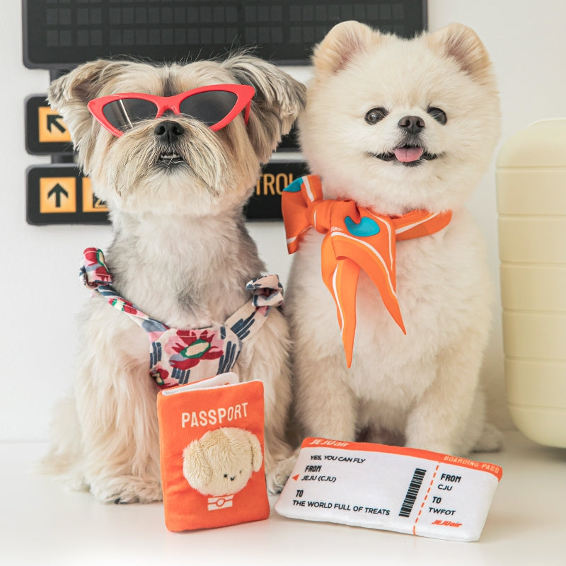 BITE ME x JEJU AIR Dog Passport & Ticket Nosework Toy Set
