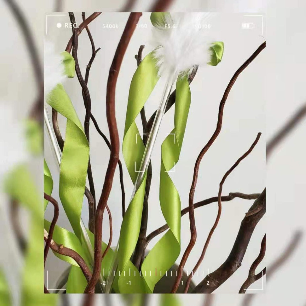 Flying Feather Cat Teaser