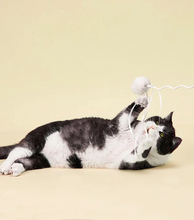 Load image into Gallery viewer, PETKIT Bingo Stick  Cat Teasing Toy
